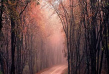 国足前瞻:谁扮奇兵救主 伊万放手一搏?.