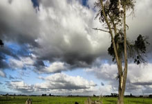 九游体育:速度滑冰世界杯荷兰站:韩梅、宁忠岩摘铜2025-03-02.