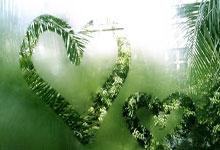 乒乓球亚洲杯:势如破竹 王楚钦3-0横扫宇田幸矢.